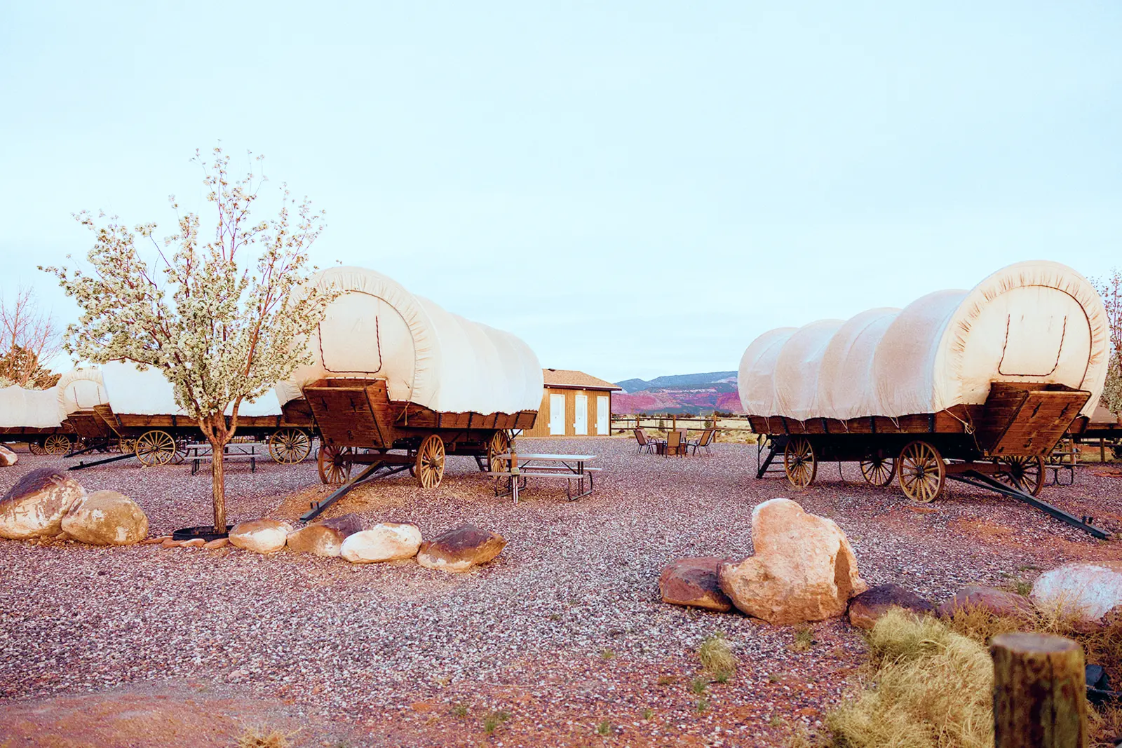 Covered wagons at Broken Spur Inn with red rock cliffs and a blossoming tree at dusk